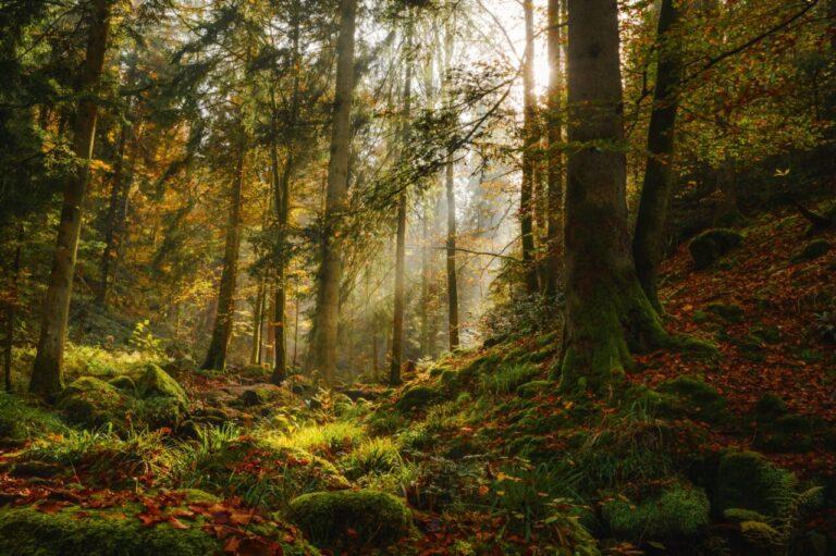 Siegerfoto beim Naturpark-Fotowettbewerb