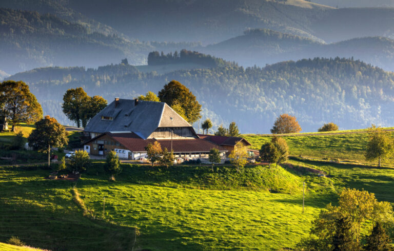 Schwarzwald Tourismus