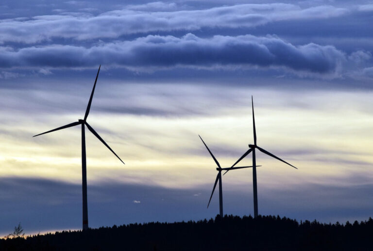 Windräder im Wald