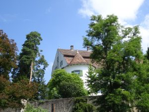 Schloss Randegg Bäume