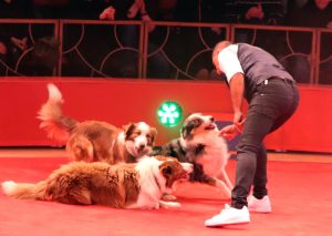 Offenburger Weihnachtscircus