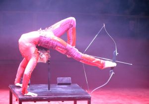 Offenburger Weihachtscircus