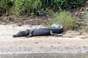 Reisebericht Christian Huber
