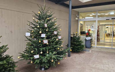 Weihnachtswunschbaum in Oppenau