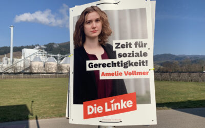 Wahlplakat der Partei "Die Linke"