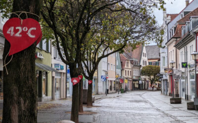 Stadtbäume in Offenburg