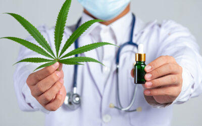 medical doctor holding cannabis leaf and bottle of cannabis oil on white background.