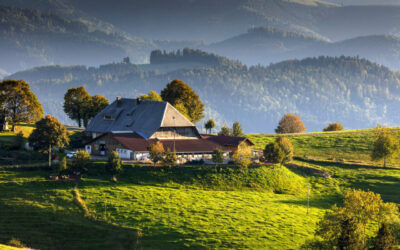 Schwarzwald Tourismus