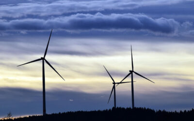 Windräder im Wald